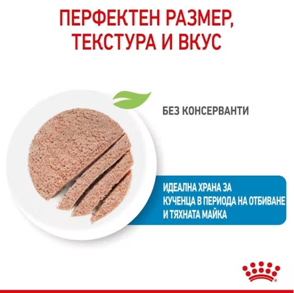 Royal Canin Starter Mousse Can 195g - Мус за бременни и кърмещи кучета и техните малки кученца